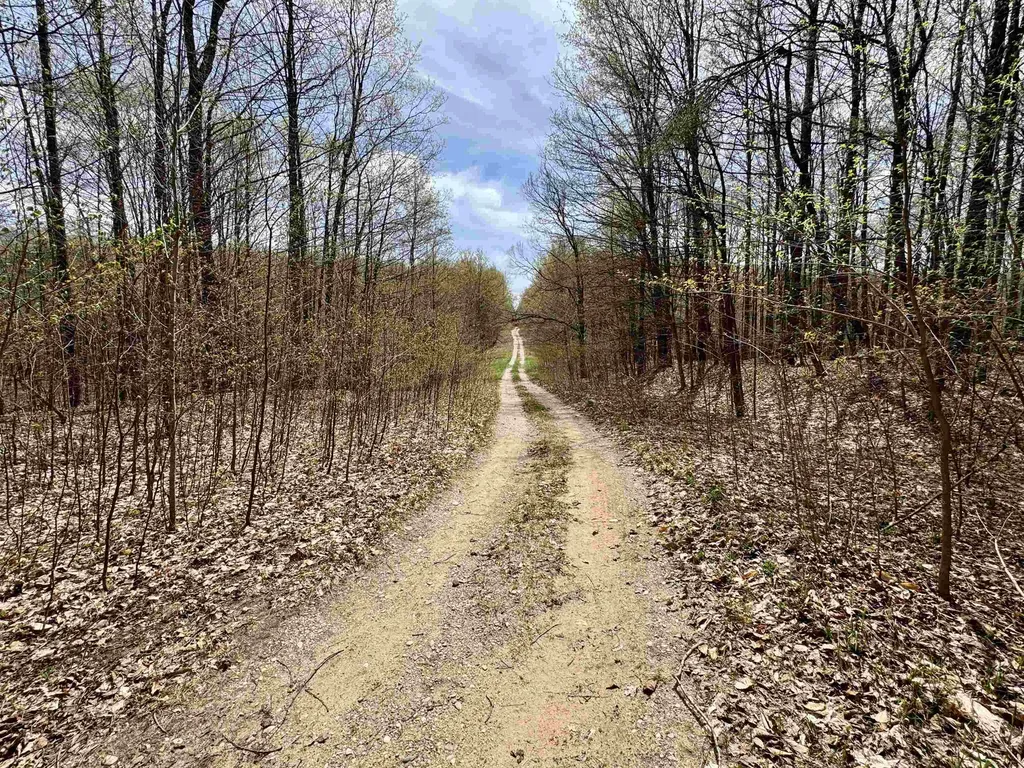 Parcel F Dayhuf 27 Mile Road Colfax Township MI 49618