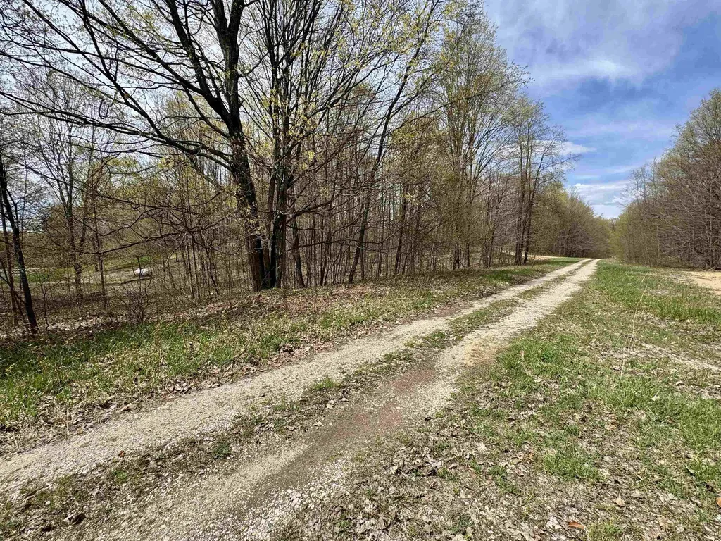 Parcel F Dayhuf 27 Mile Road Colfax Township MI 49618