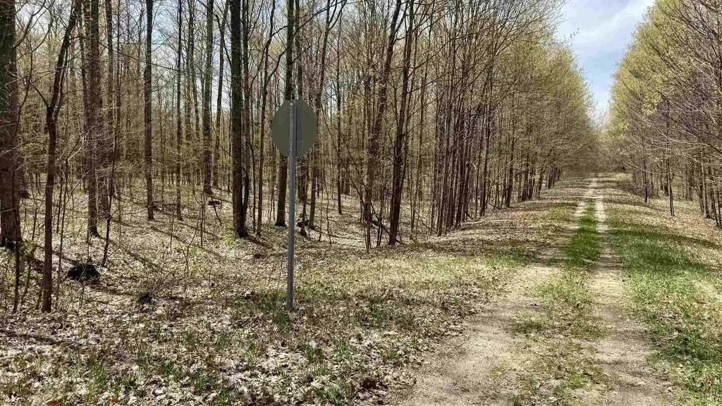 Parcel F Dayhuf 27 Mile Road Colfax Township MI 49618