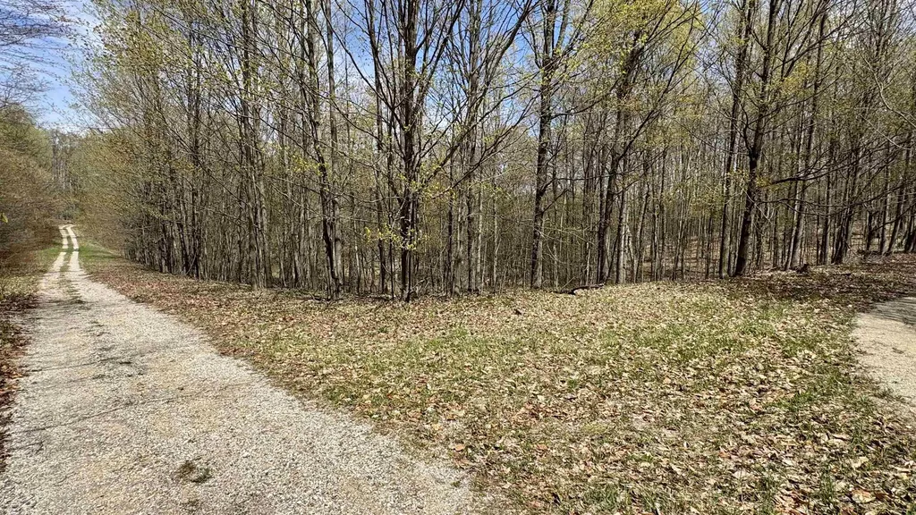 Parcel F Dayhuf 27 Mile Road Colfax Township MI 49618