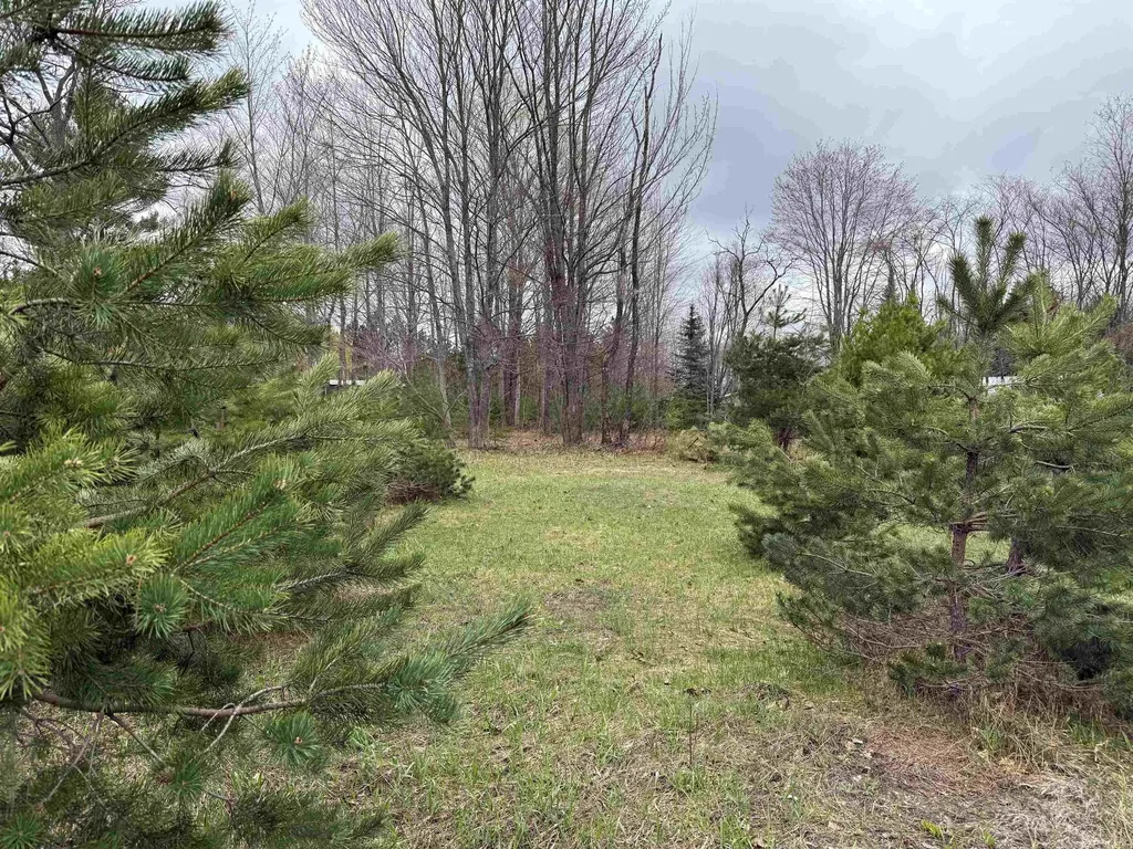 V/l NE County Road 612 Coldsprings Township MI 49646