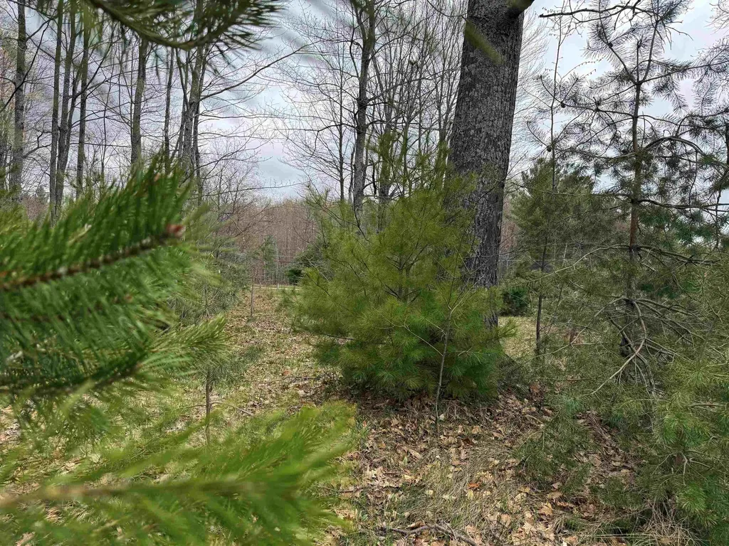 V/l NE County Road 612 Coldsprings Township MI 49646
