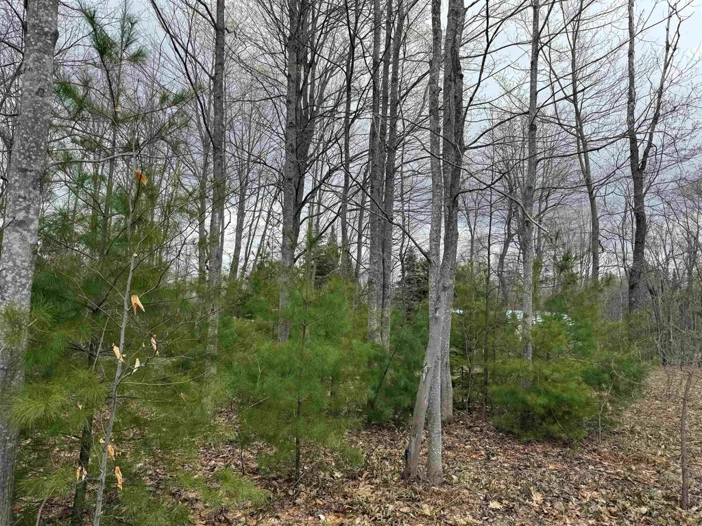 V/l NE County Road 612 Coldsprings Township MI 49646