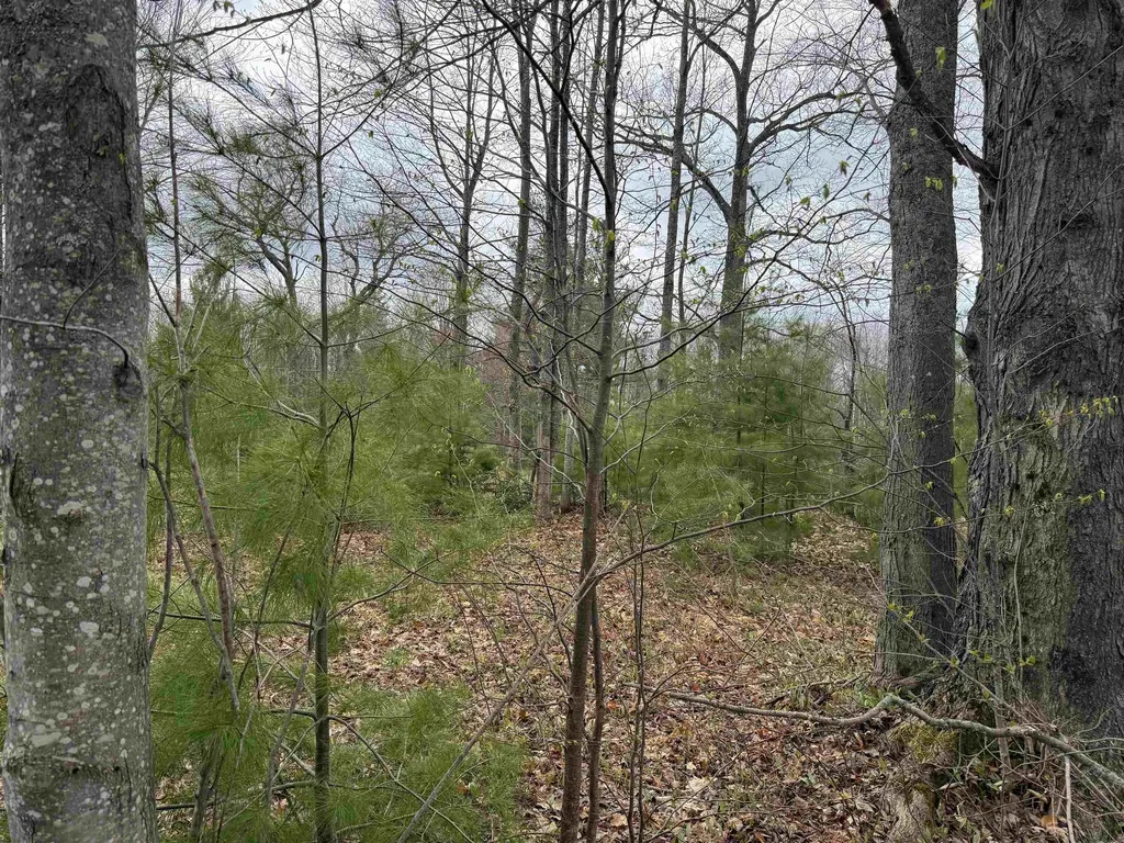 V/l NE County Road 612 Coldsprings Township MI 49646