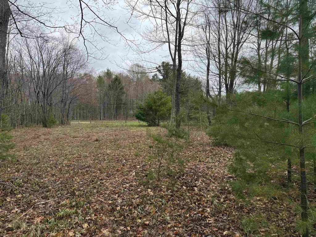 V/l NE County Road 612 Coldsprings Township MI 49646