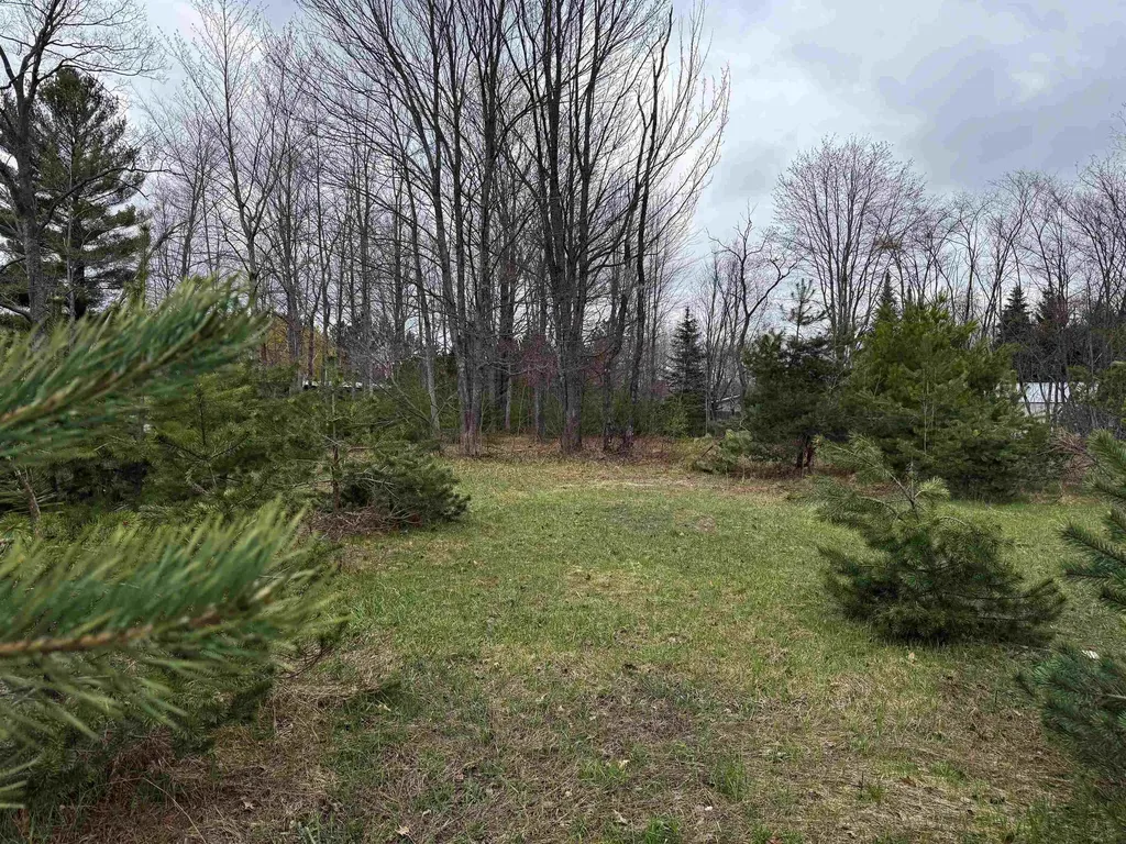V/l NE County Road 612 Coldsprings Township MI 49646