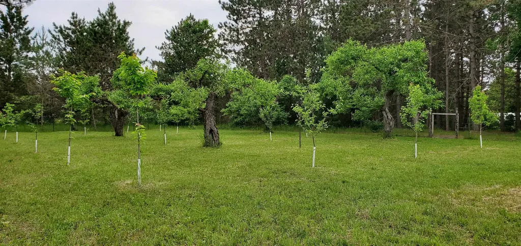 493 NE County Road 571 Excelsior Township MI 49646