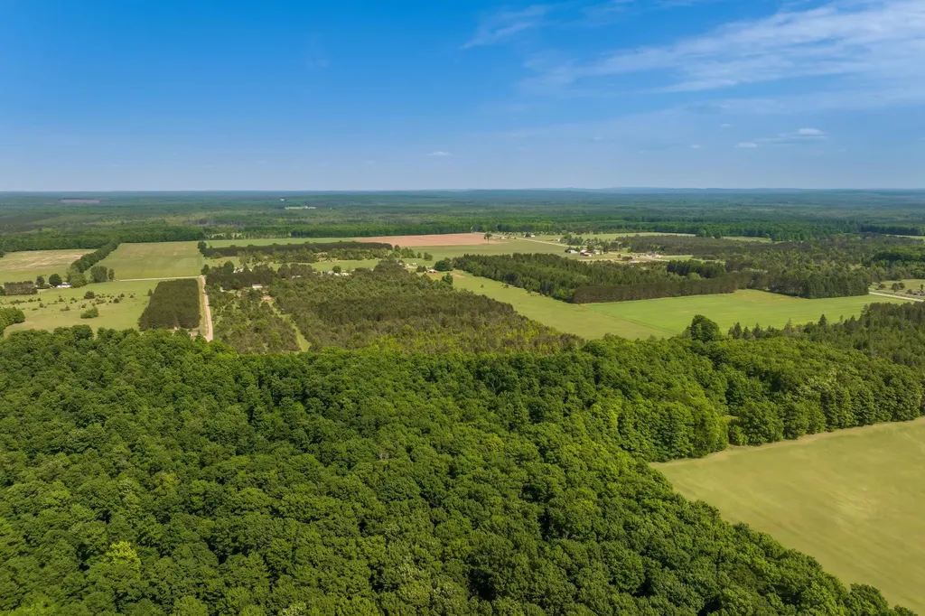 493 NE County Road 571 Excelsior Township MI 49646