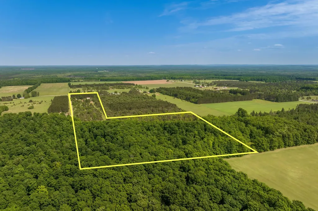 493 NE County Road 571 Excelsior Township MI 49646