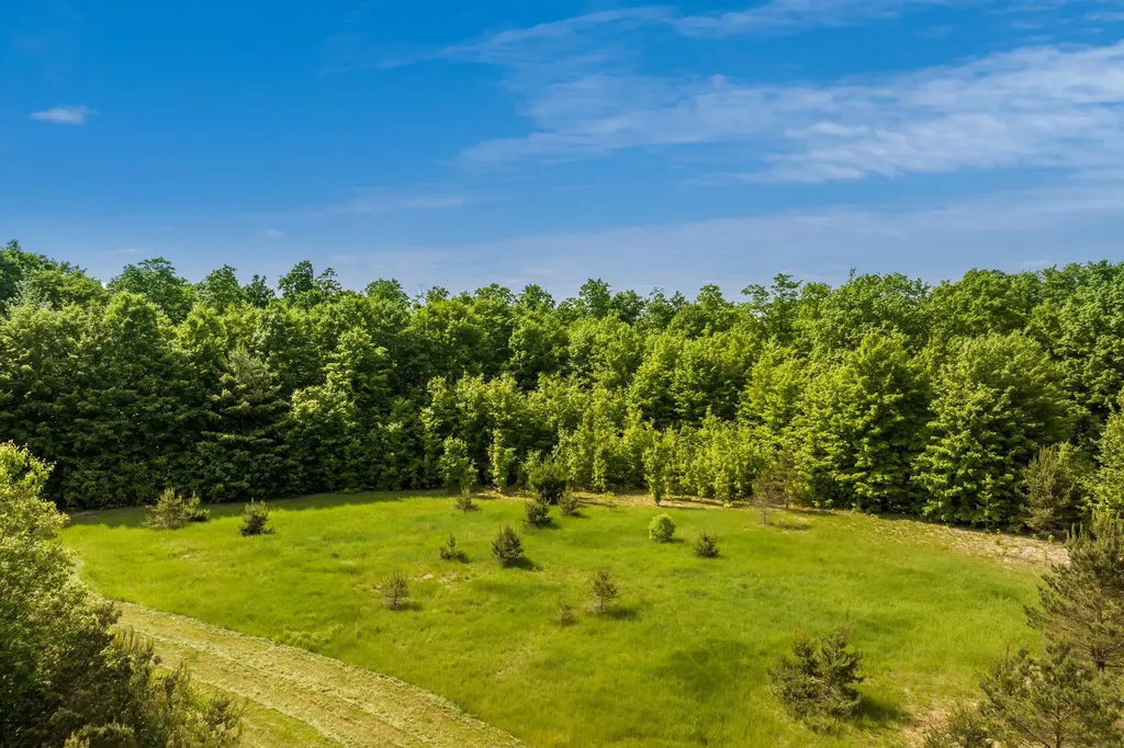 493 NE County Road 571 Excelsior Township MI 49646