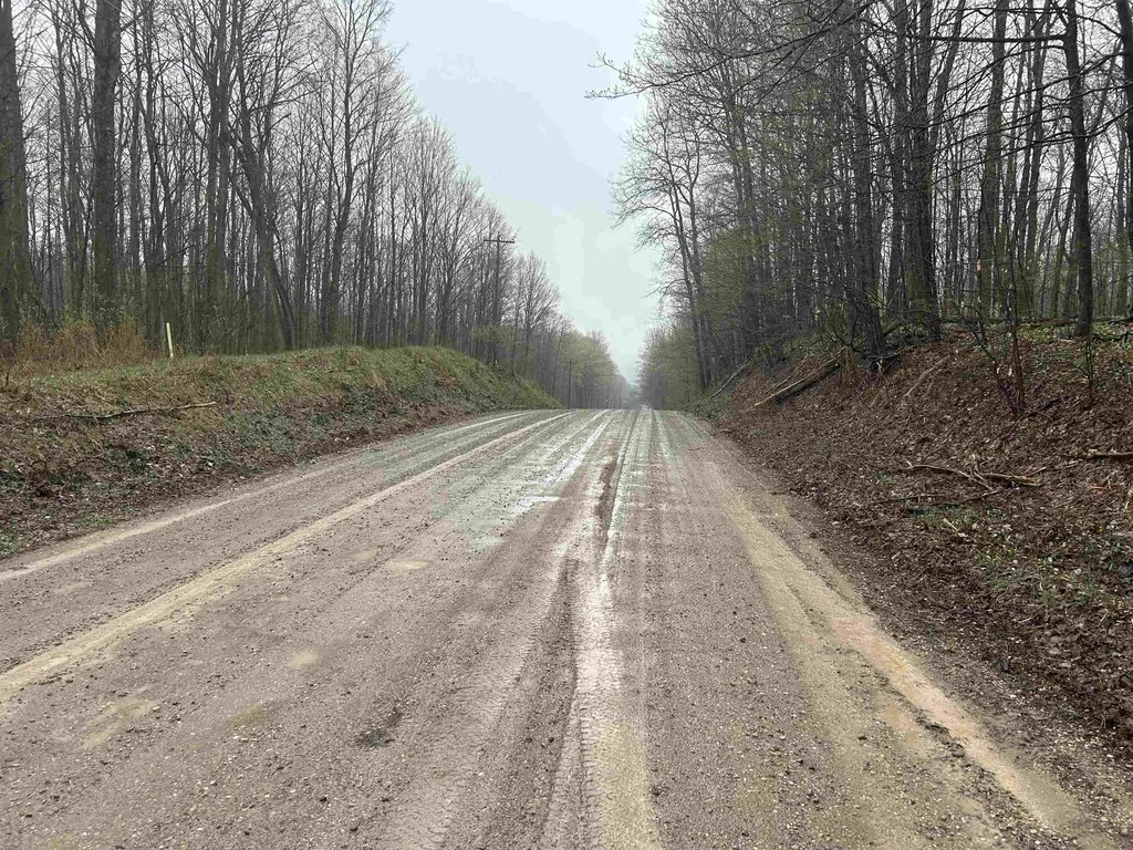 Lots 11 & 12 Mcpherson Road Helena Township MI 49612