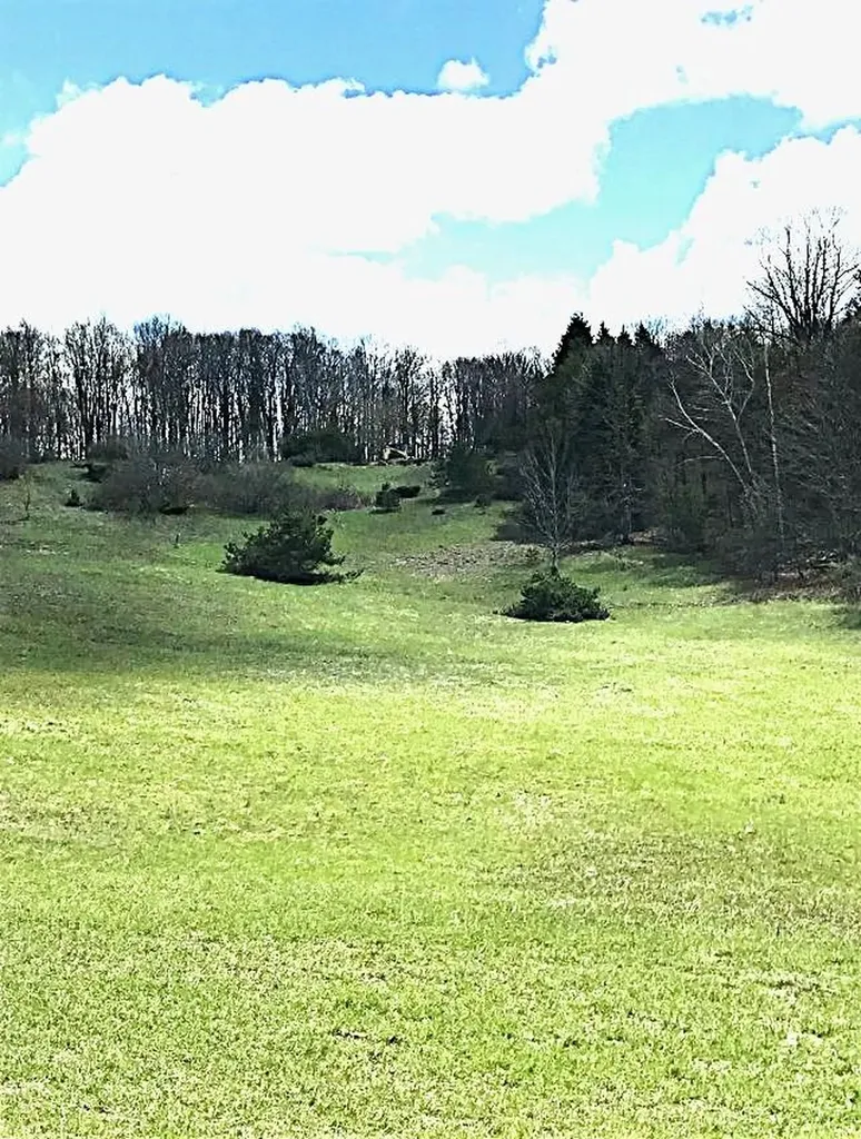 Lots 11 & 12 Mcpherson Road Helena Township MI 49612
