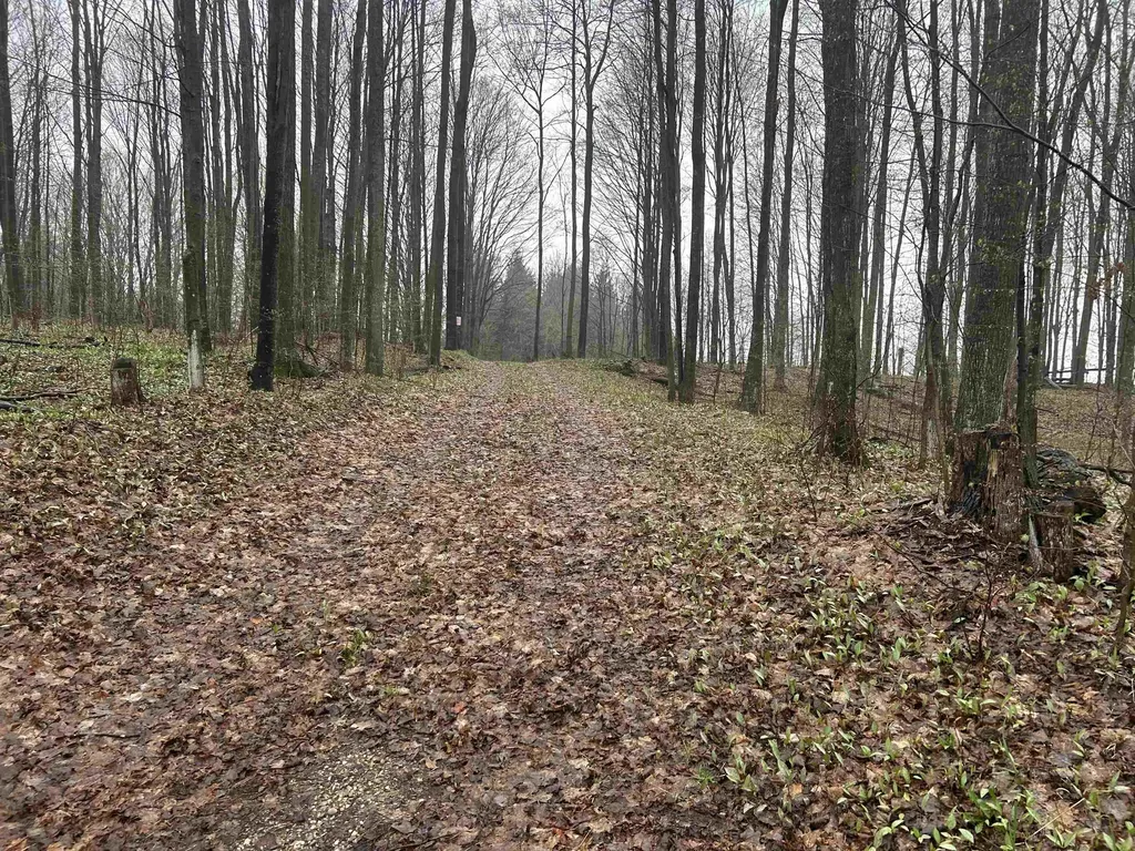 Lots 11 & 12 Mcpherson Road Helena Township MI 49612