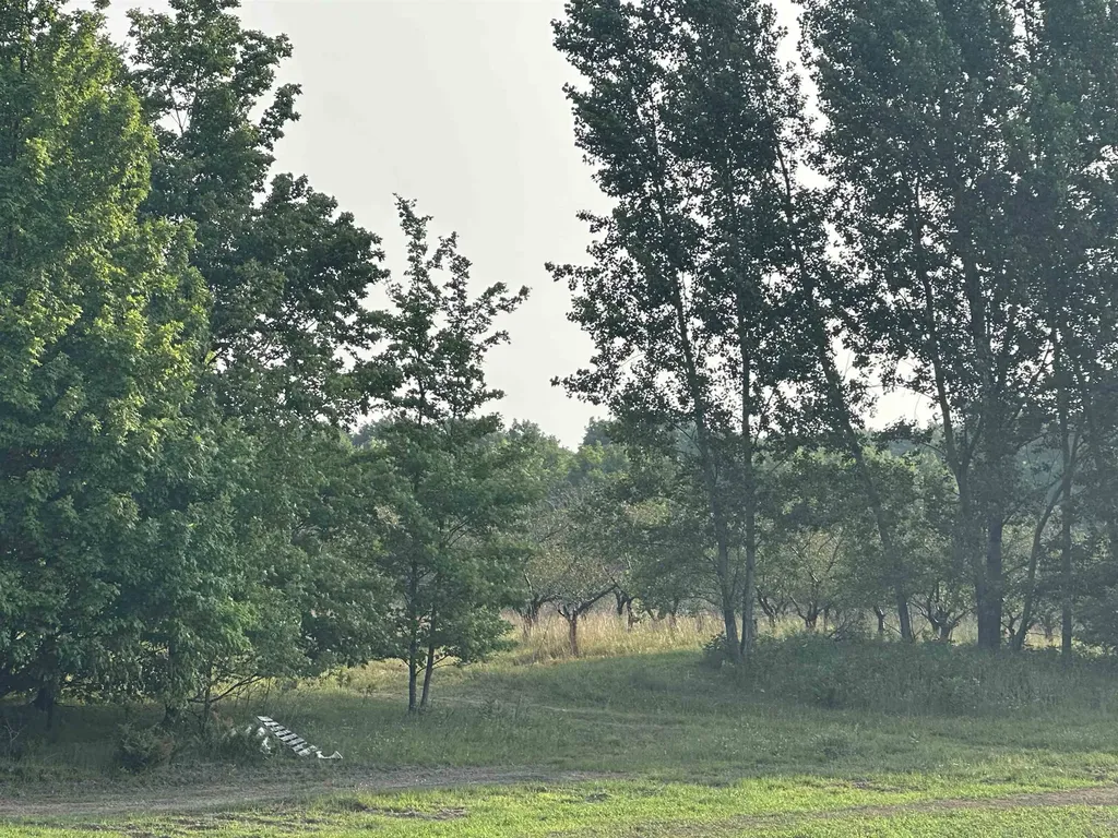 Parcel 17 Karnes Road Empire Township MI 49636
