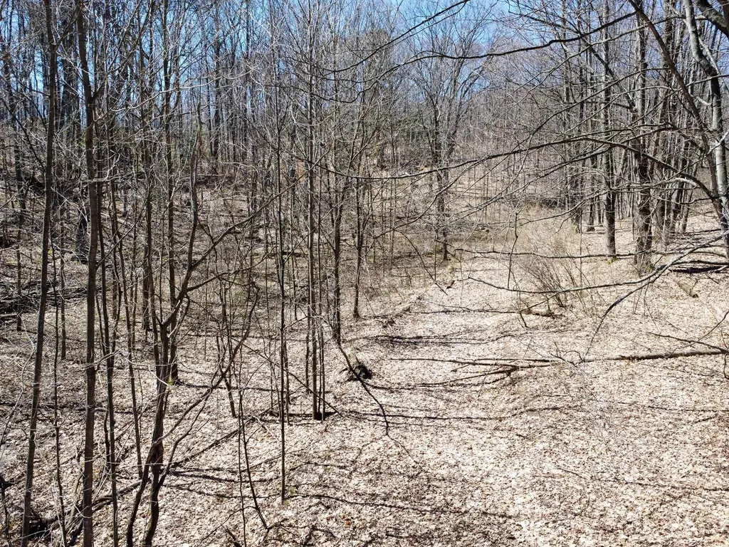 0 E Smiseth Road Suttons Bay Township MI 49682