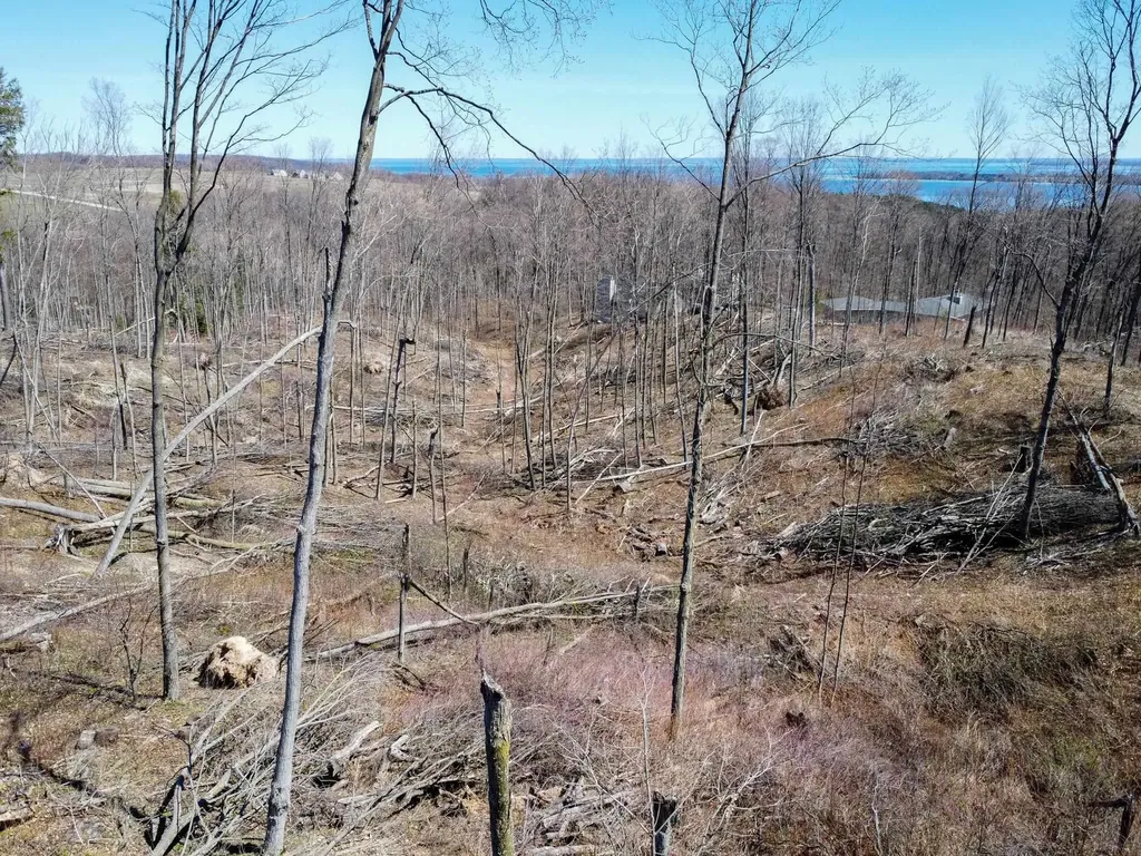 0 E Smiseth Road Suttons Bay Township MI 49682