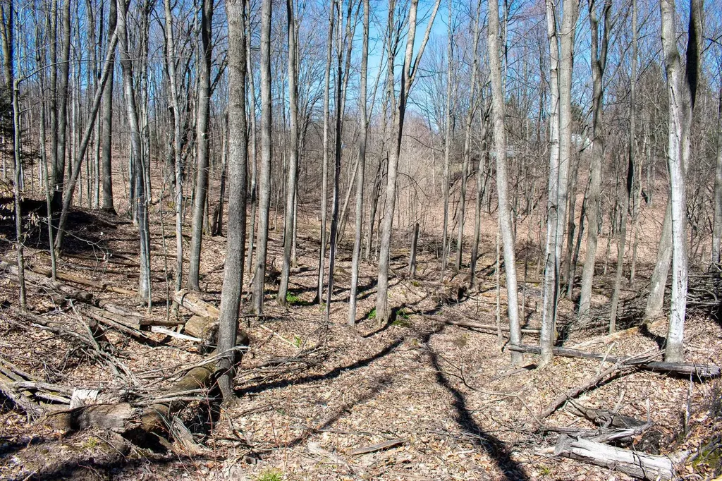 0 E Smiseth Road Suttons Bay Township MI 49682