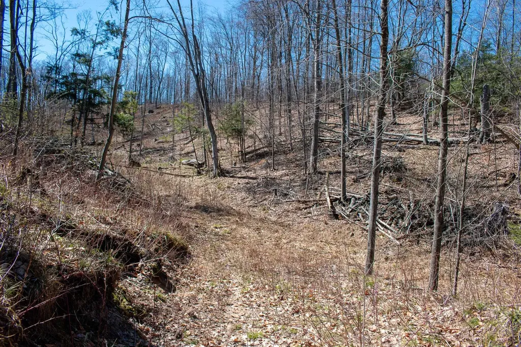 0 E Smiseth Road Suttons Bay Township MI 49682