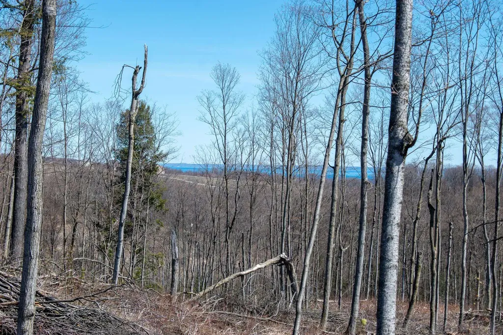 0 E Smiseth Road Suttons Bay Township MI 49682