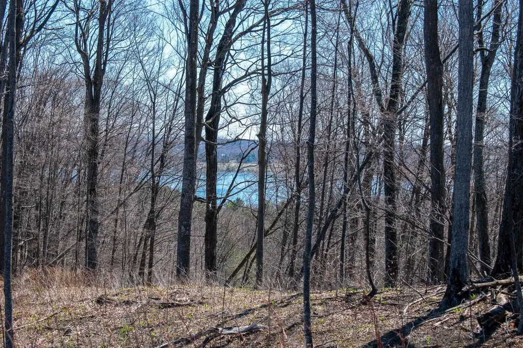 0 E Smiseth Road Suttons Bay Township MI 49682
