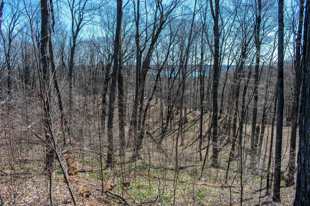 0 E Smiseth Road Suttons Bay Township MI 49682