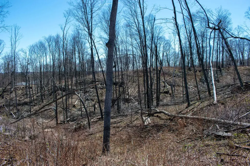 0 E Smiseth Road Suttons Bay Township MI 49682