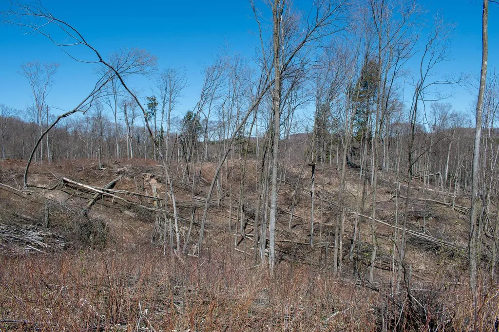 0 E Smiseth Road Suttons Bay Township MI 49682