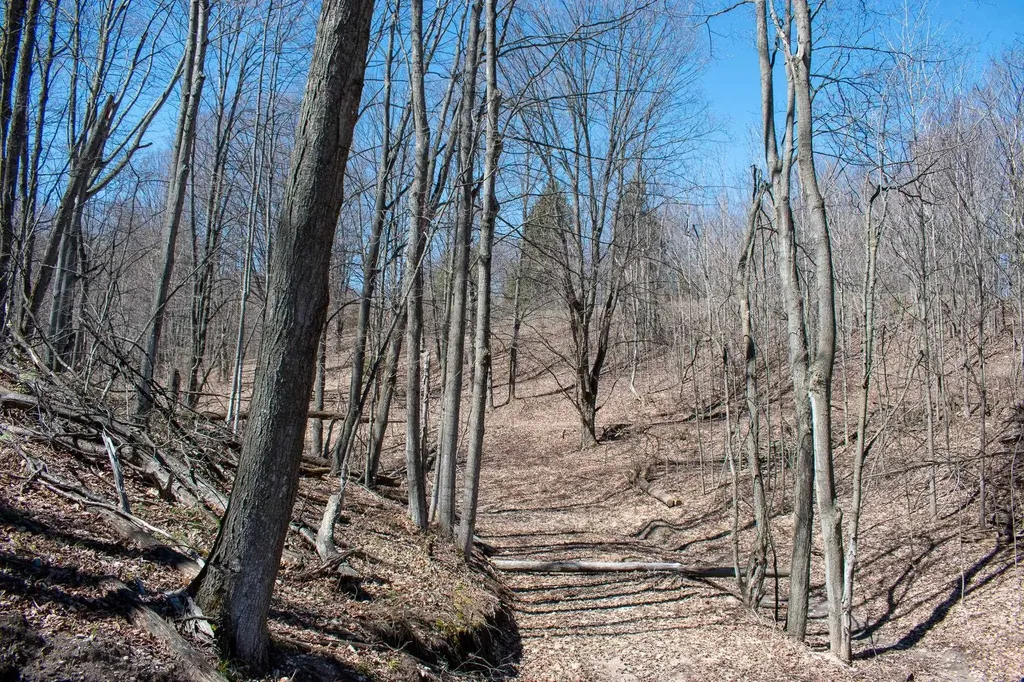 0 E Smiseth Road Suttons Bay Township MI 49682