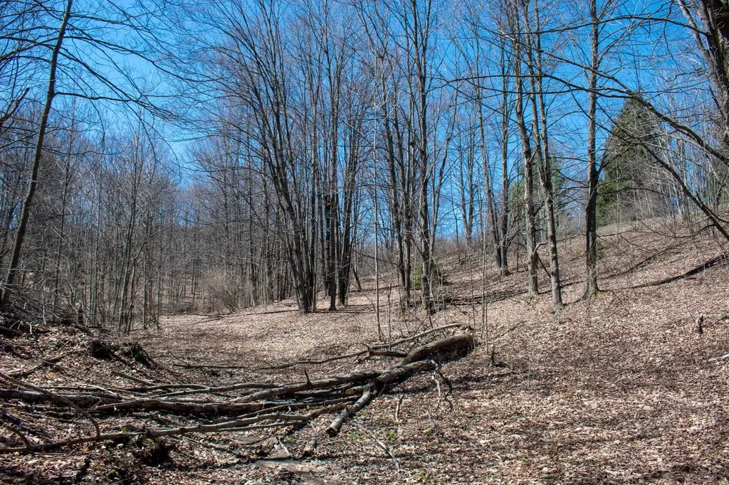 0 E Smiseth Road Suttons Bay Township MI 49682