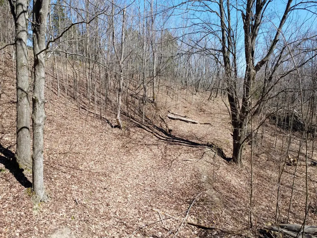 0 E Smiseth Road Suttons Bay Township MI 49682