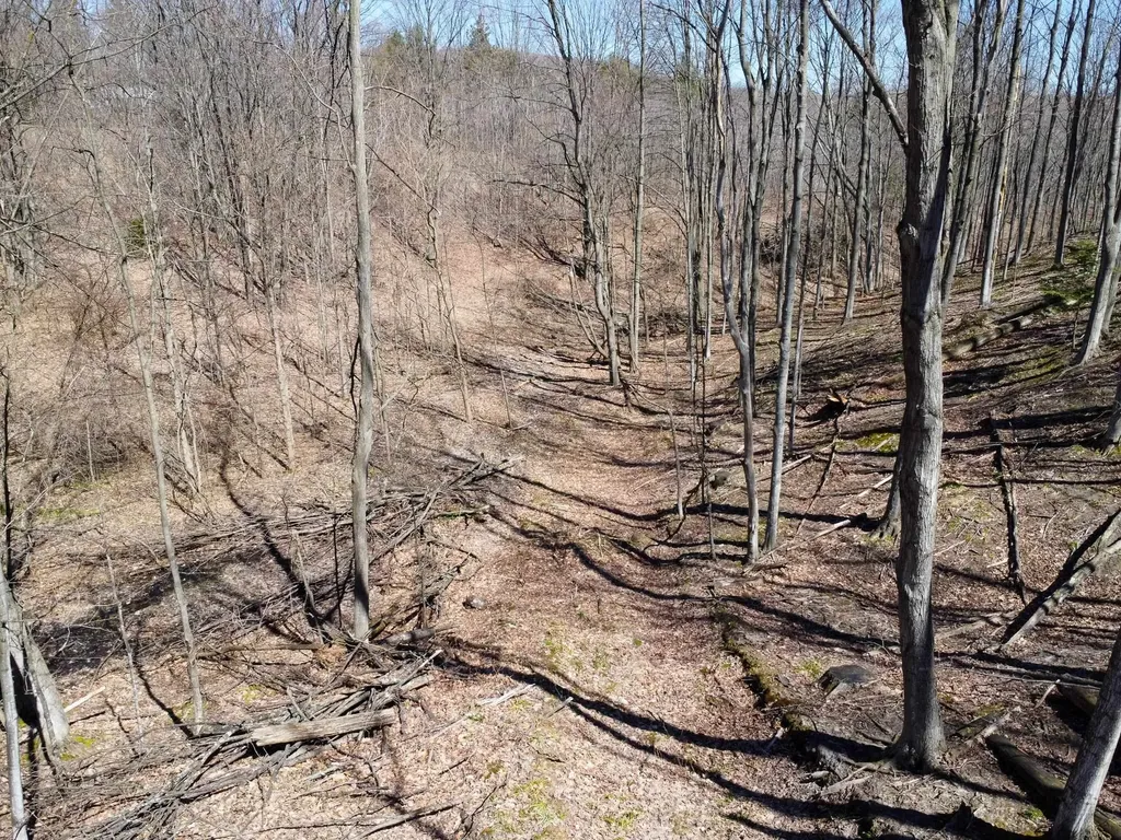 0 E Smiseth Road Suttons Bay Township MI 49682
