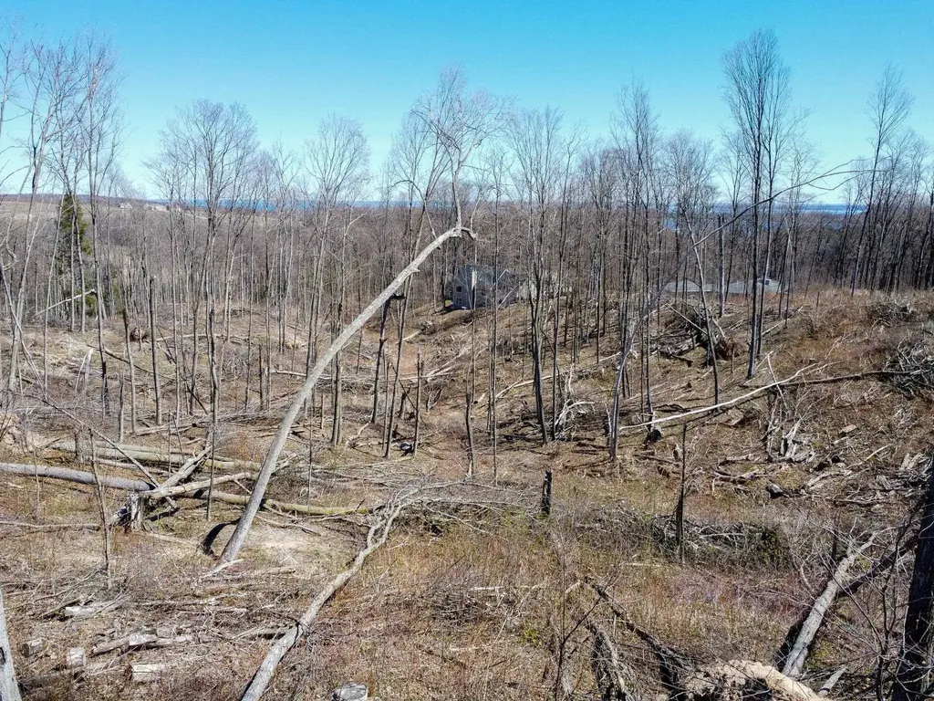 0 E Smiseth Road Suttons Bay Township MI 49682