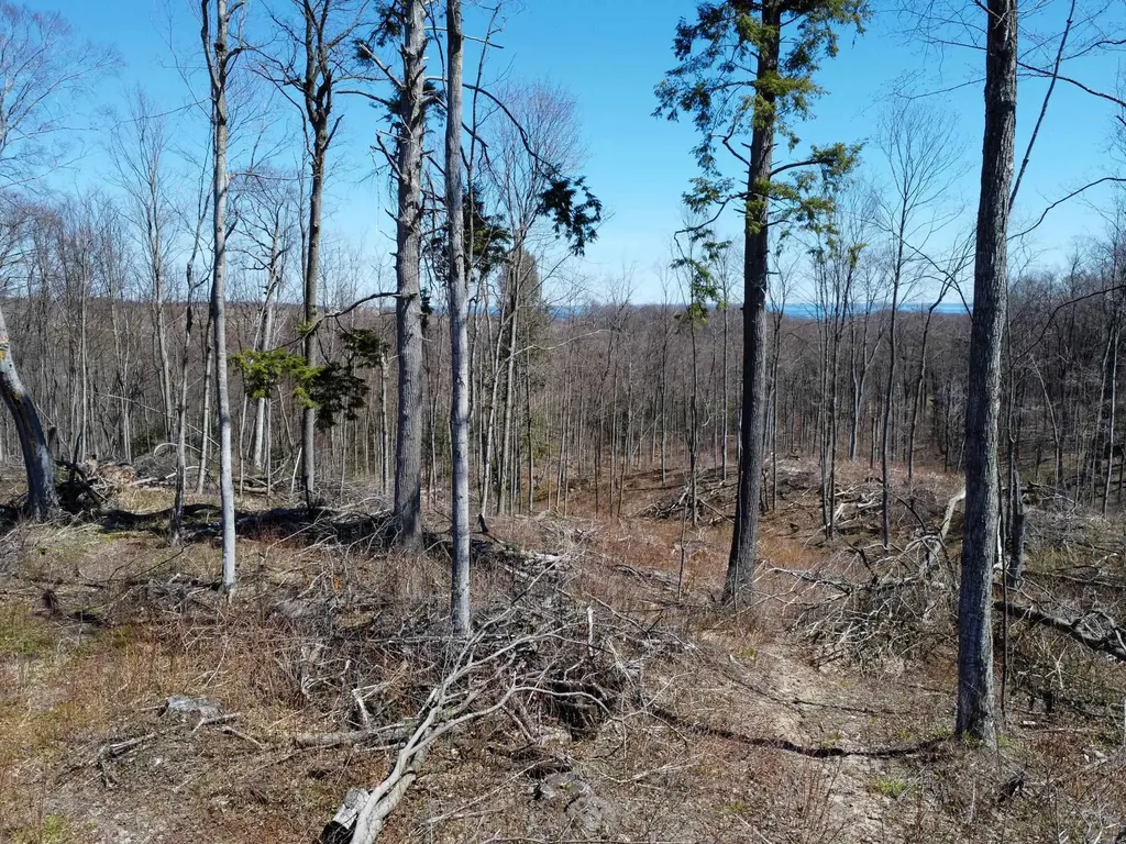 0 E Smiseth Road Suttons Bay Township MI 49682