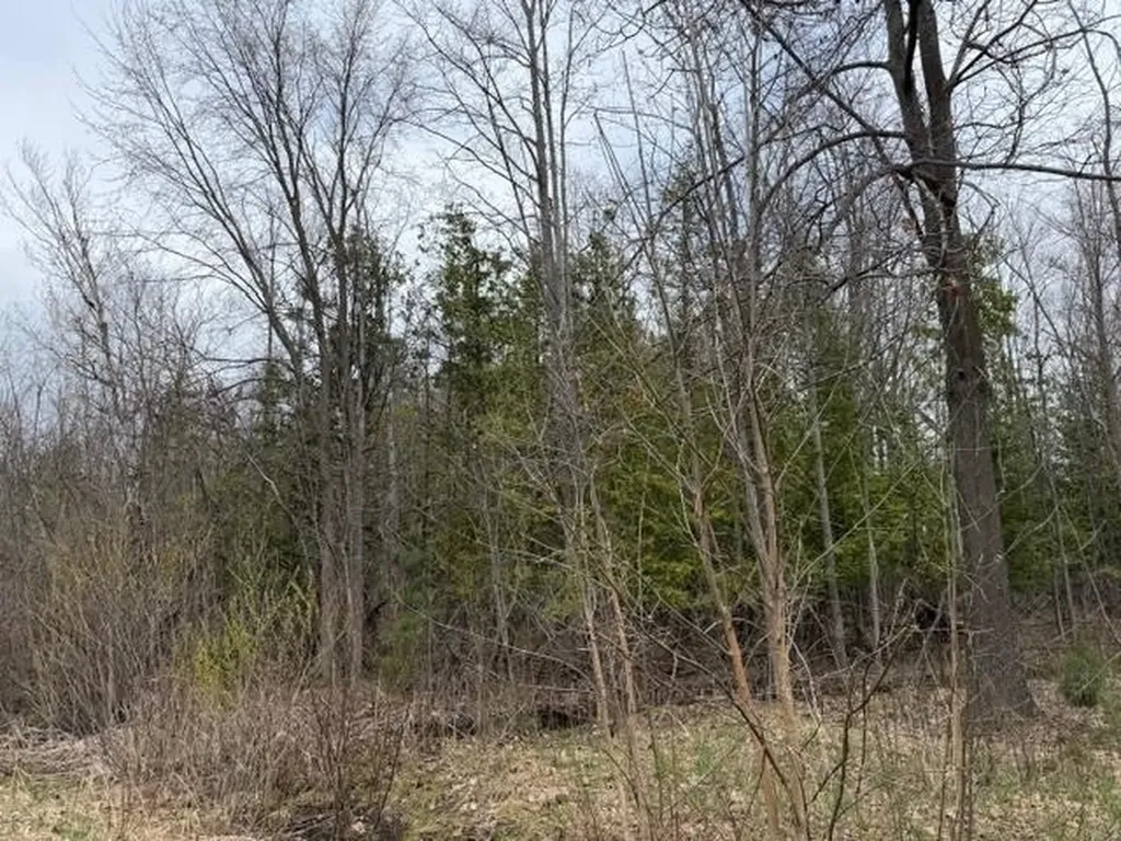 8618 Partridge Trail Elk Rapids Township MI 49629