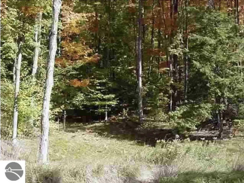 Ville #5 Timber Valley Court Milton Township MI 49648