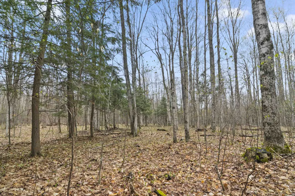 2561 E Johnson Road Norwich Township MI 49651