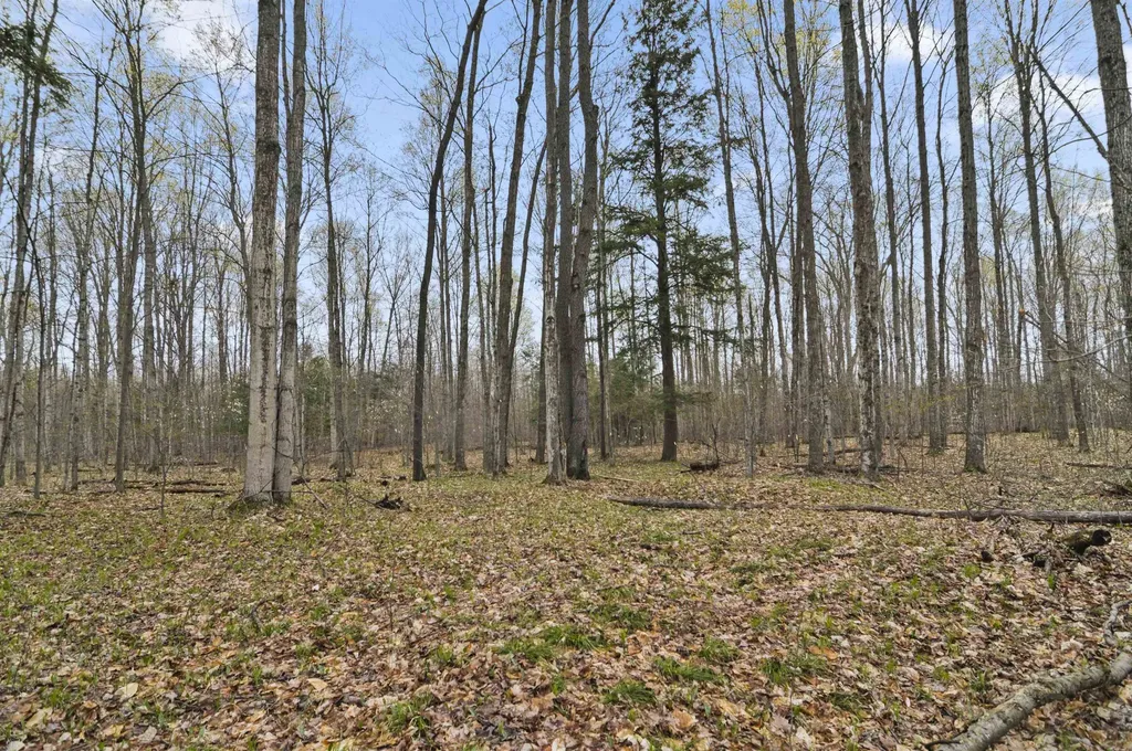 2561 E Johnson Road Norwich Township MI 49651