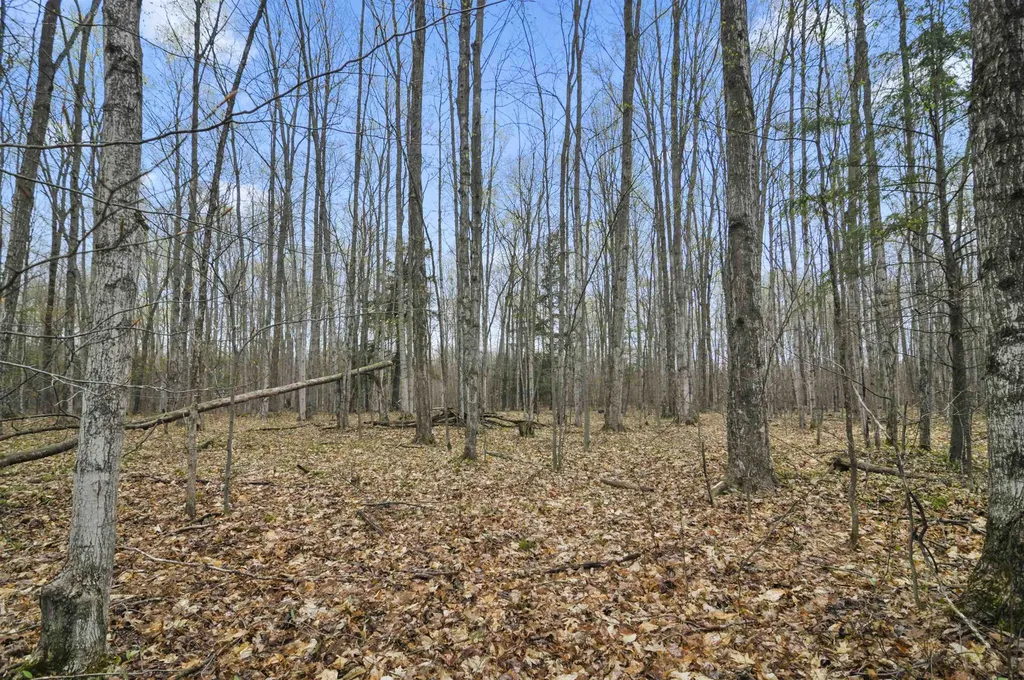 2561 E Johnson Road Norwich Township MI 49651