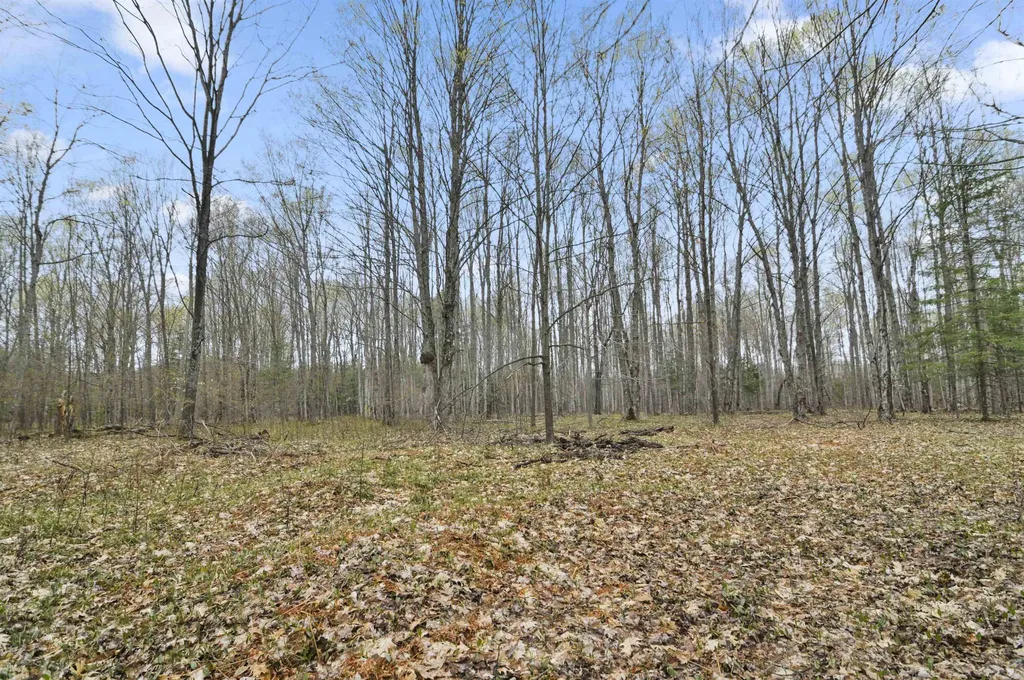 2561 E Johnson Road Norwich Township MI 49651