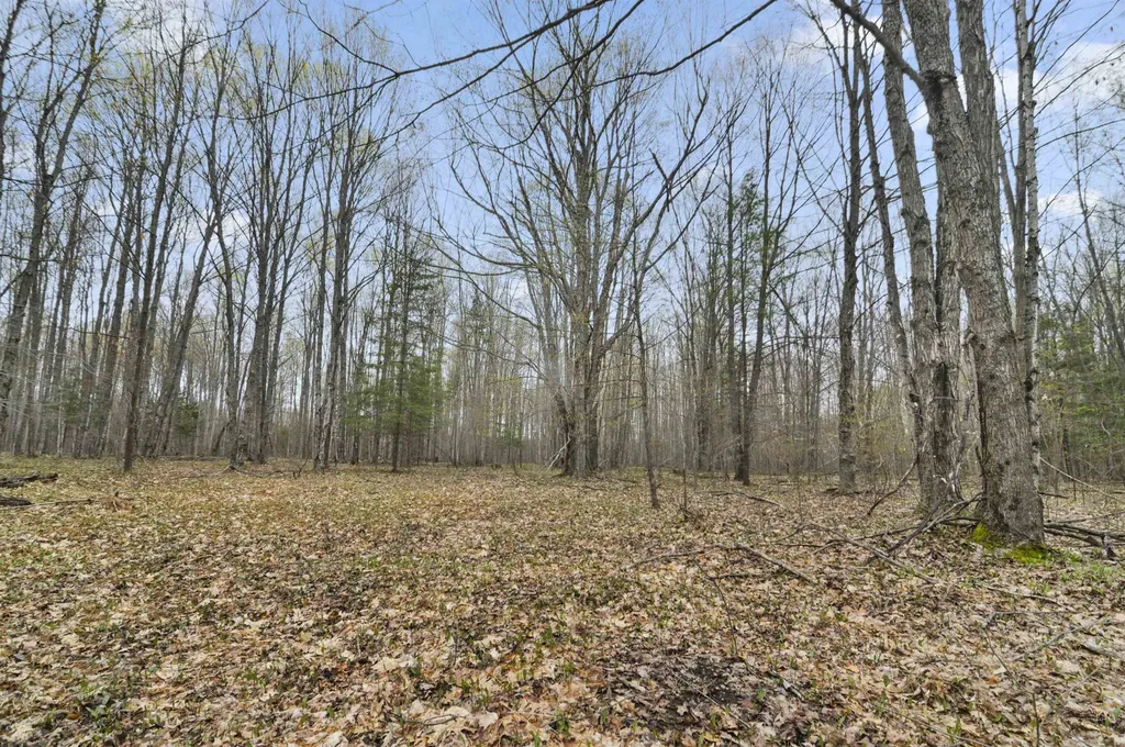 2561 E Johnson Road Norwich Township MI 49651
