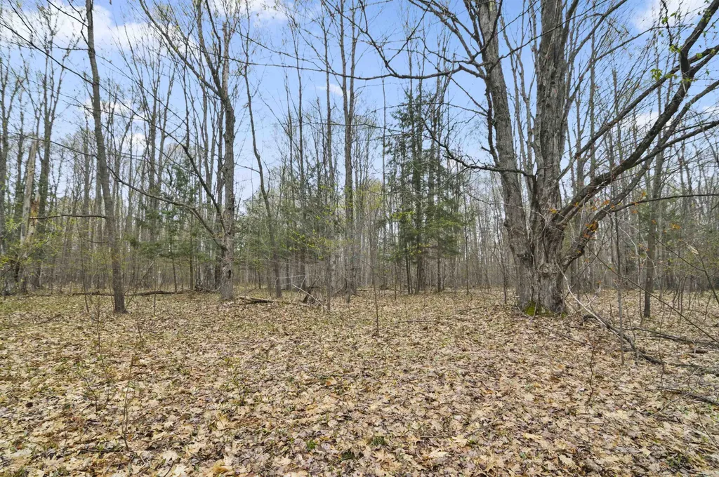 2561 E Johnson Road Norwich Township MI 49651
