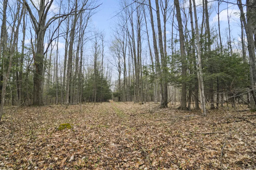 2561 E Johnson Road Norwich Township MI 49651
