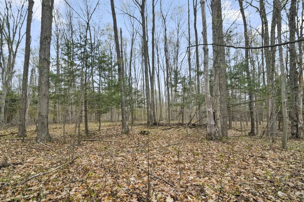 2561 E Johnson Road Norwich Township MI 49651