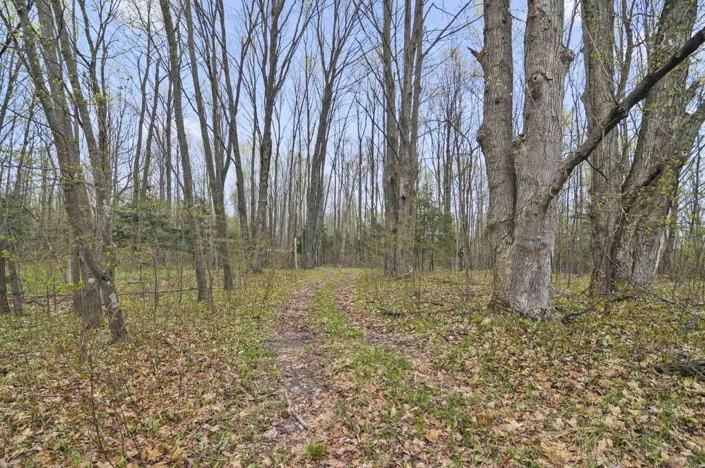 2561 E Johnson Road Norwich Township MI 49651