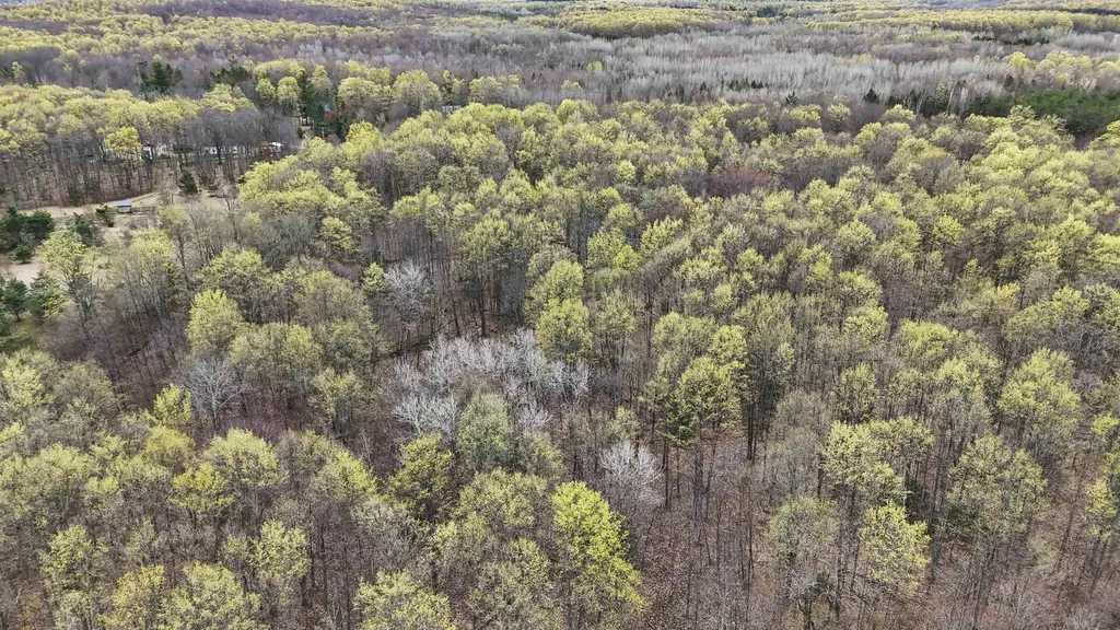 2561 E Johnson Road Norwich Township MI 49651