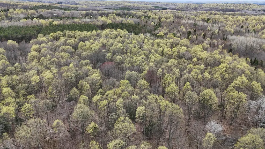 2561 E Johnson Road Norwich Township MI 49651