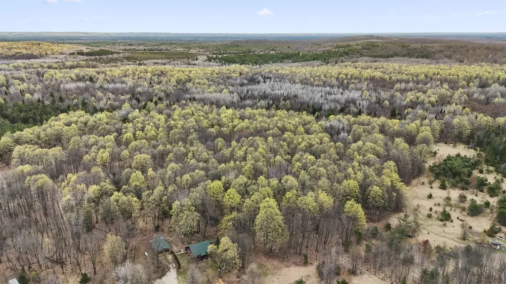 2561 E Johnson Road Norwich Township MI 49651