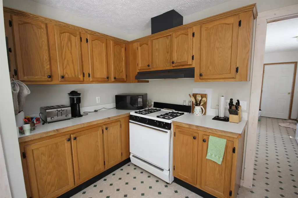 1177 Railroad Trail Homestead Township MI 49617