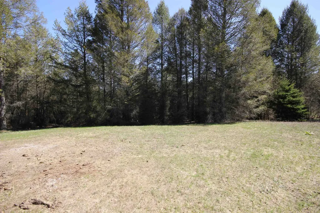 1177 Railroad Trail Homestead Township MI 49617