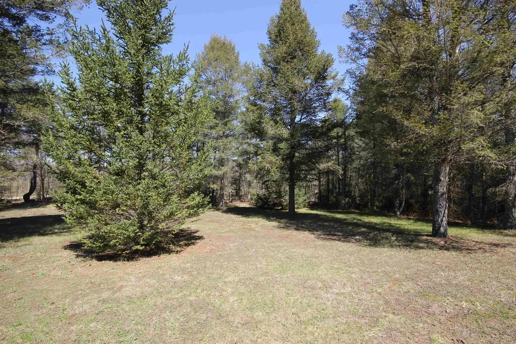 1177 Railroad Trail Homestead Township MI 49617